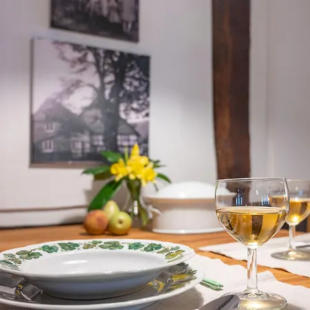 - Karin Kehne -gartenblick