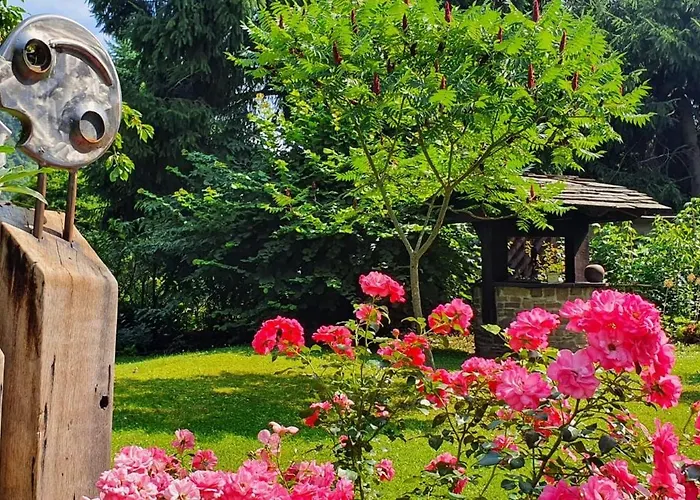 - Karin Kehne -gartenblick *